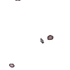 ⭐