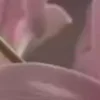 ⭐