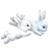 🐰