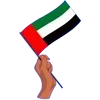 🇦🇪