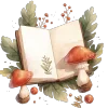 📚