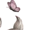 ⭐