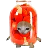 🍅