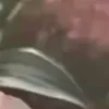 ⭐