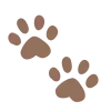 🐾