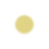 🟡