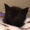 😨