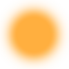 🟠