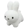 🐇