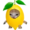 🍋