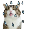 🌧️