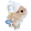 🐰