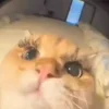 👛