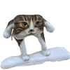 🐈