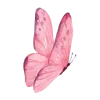 🦋