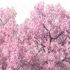🌸