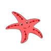 🌟