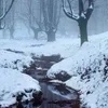 🌨