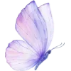 🦋
