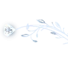 🤩
