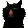 😜