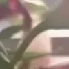 ⭐