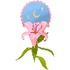 🌸