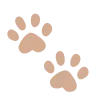 🐾