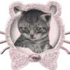 🐱