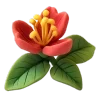 🌺