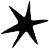 ⭐️