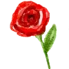 🌹