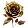 🌹