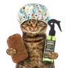 🐱