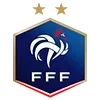 🇫🇷