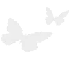 🦋