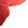 💋