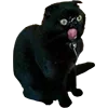 🙀