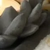 🤩