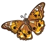 🦋
