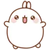 🐰