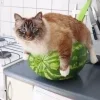 🍉