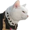 🐈‍⬛