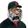 🐅