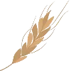 🌾