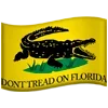 🇺🇸