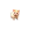 🐱