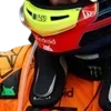 🇦🇺