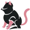 🐈‍⬛️