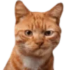 😾